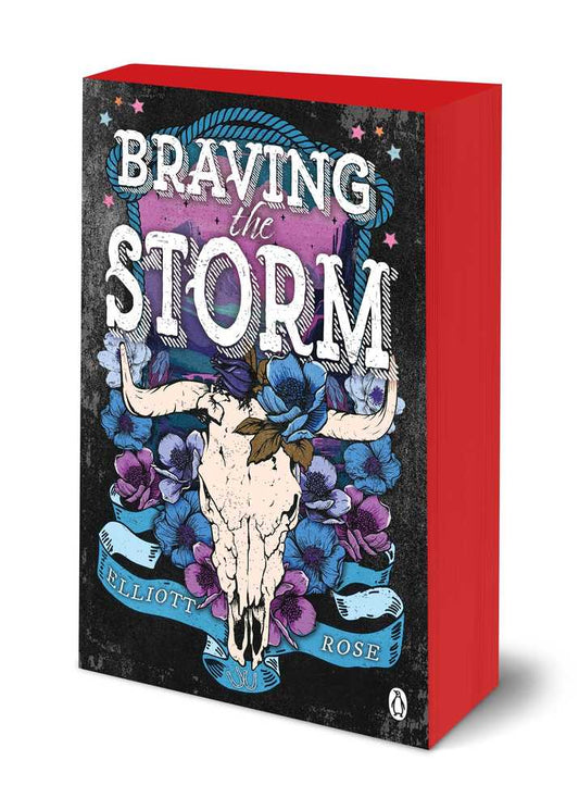 Braving The Storm book cover