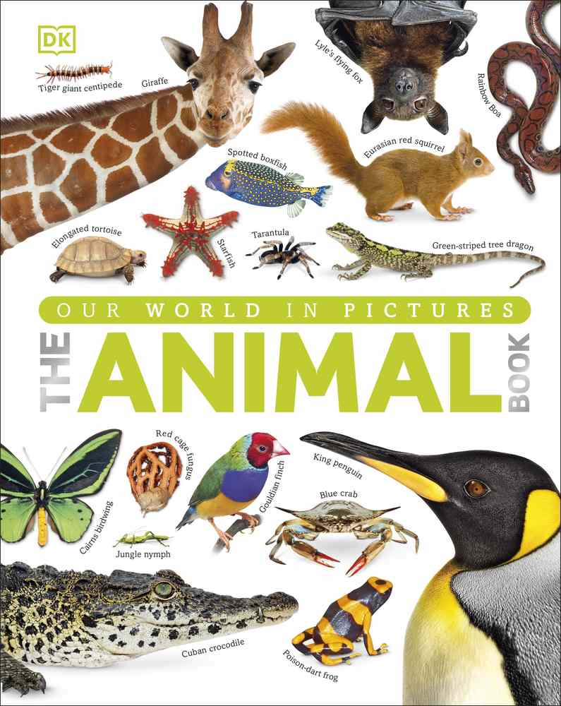 The Animal Book book cover