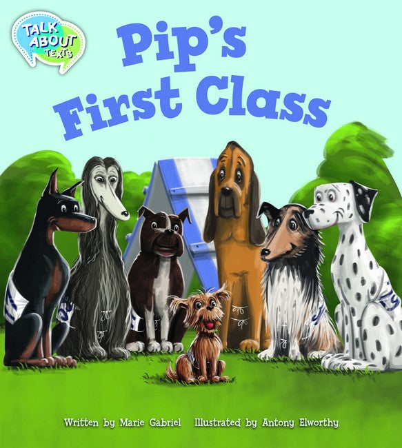 MSEA Pip's First Class cover