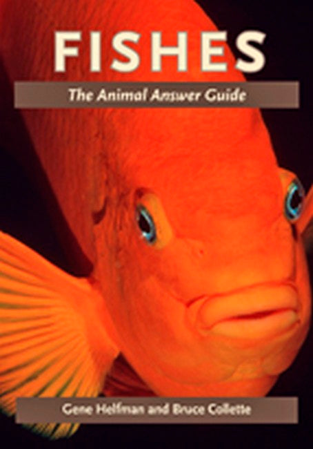Fishes:: The Animal Answer Guide
