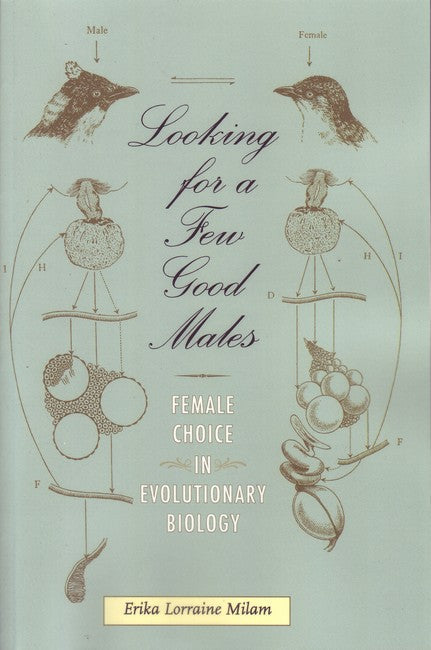 Looking for a Few Good Males cover