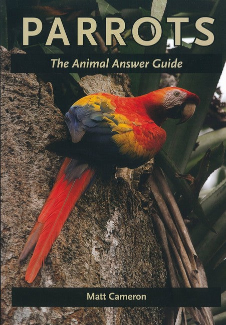 Parrots cover