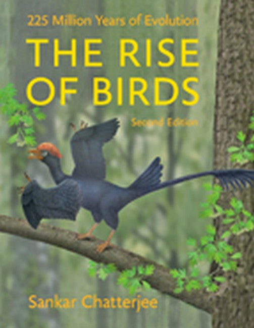 The Rise of Birds cover