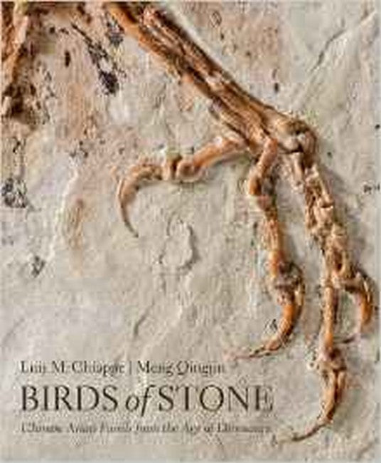 Birds of Stone cover