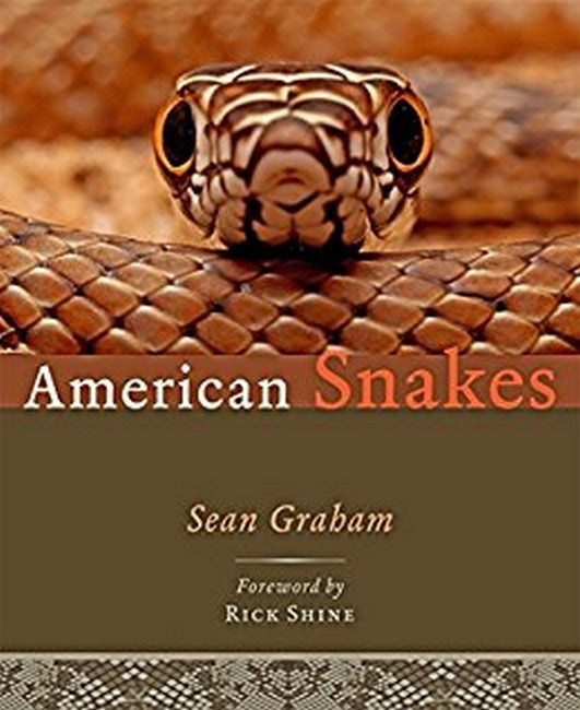American Snakes cover