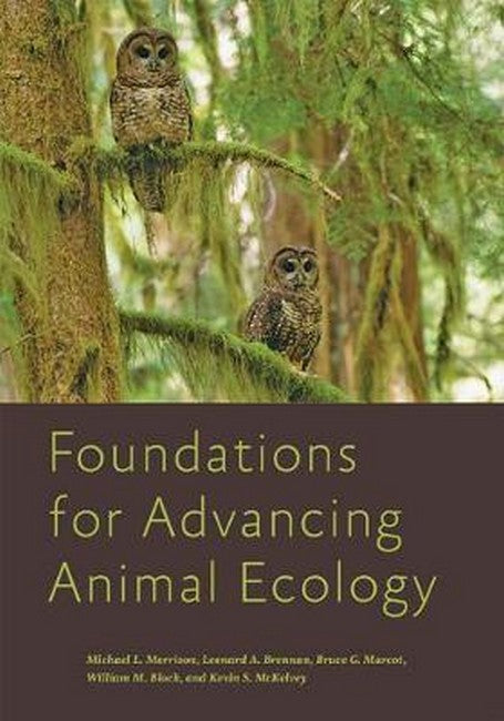 Foundations for Advancing Animal Ecology: