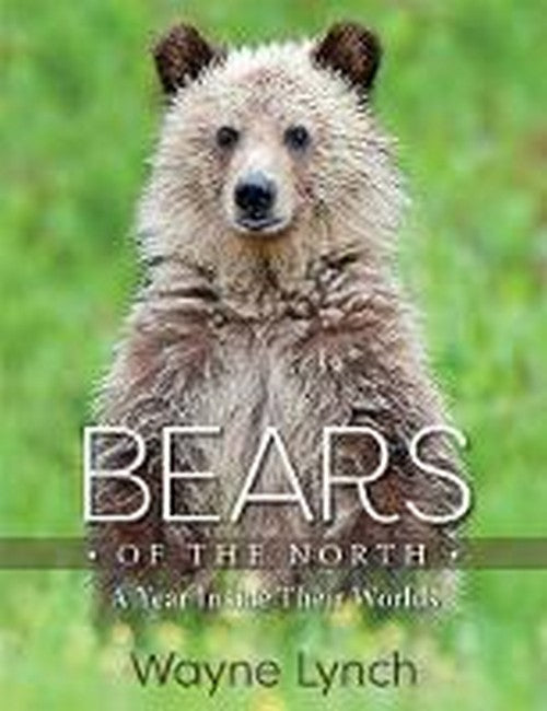 Bears of the North cover