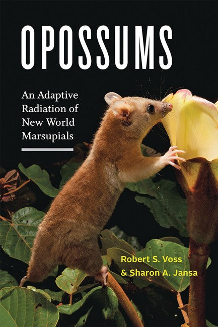 Opossums cover