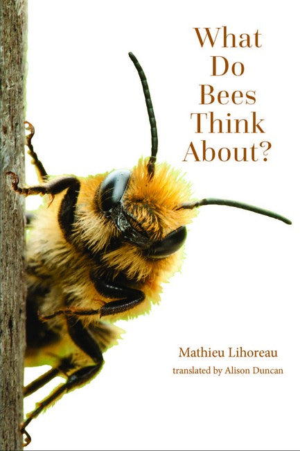 What Do Bees Think About? cover