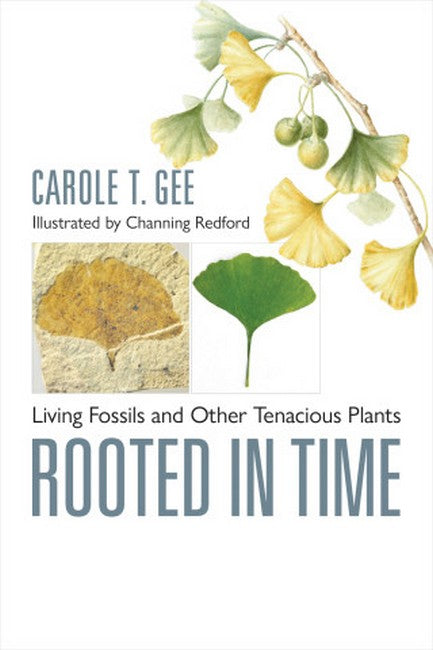 Rooted in Time cover