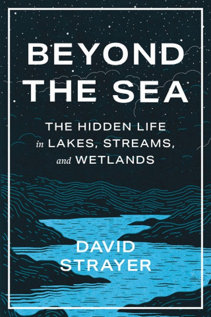 Beyond the Sea cover