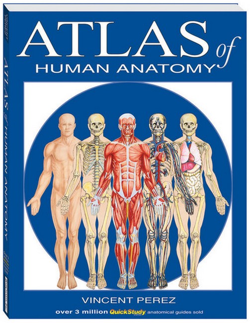 Atlas Of Human Anatomy cover