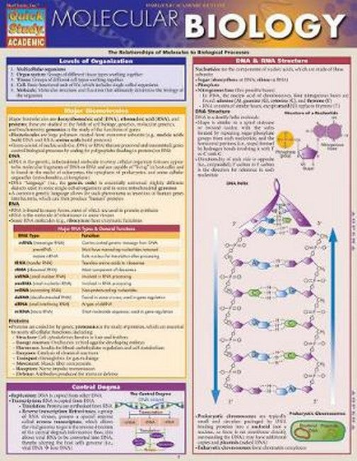 Molecular Biology cover