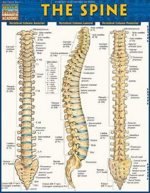 The Spine cover