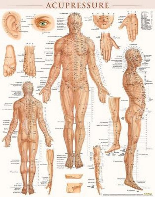 Acupressure-Laminated cover