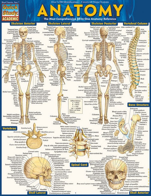 Anatomy - Reference Guide cover