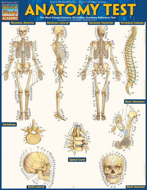 Anatomy Test Reference Guide cover