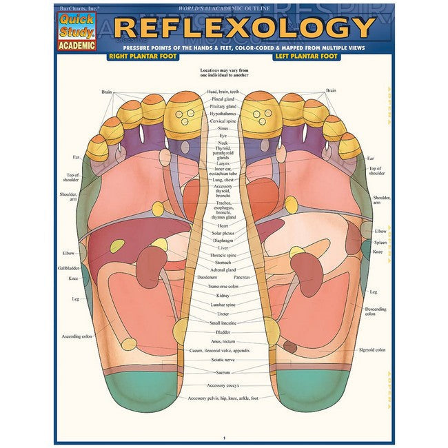 Reflexology cover