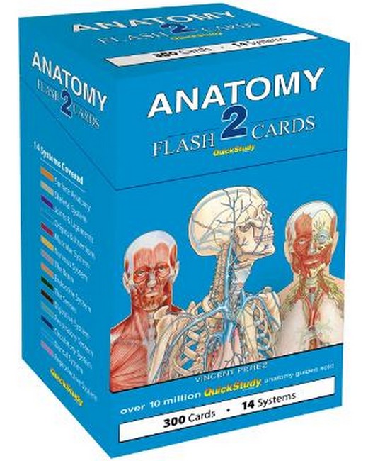 Anatomy 2 Flash Cards (300 cards) cover