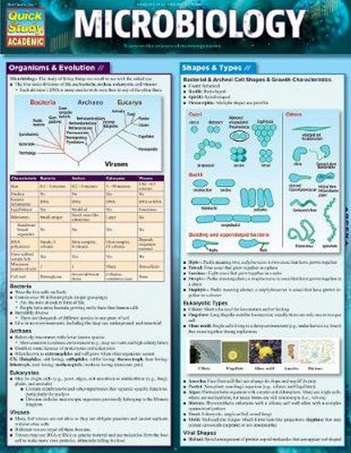 Microbiology cover