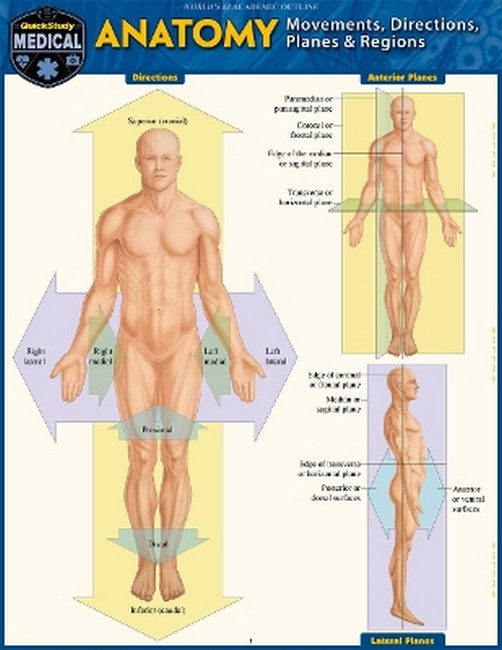Anatomy - Directions, Planes, Movements & Regions cover