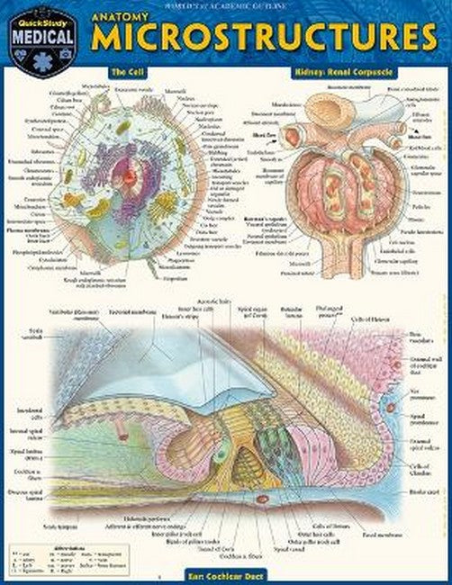 Anatomy Microstructures cover