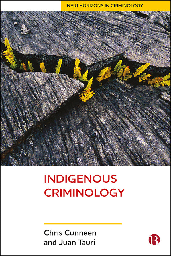 New Horizons in Criminology cover