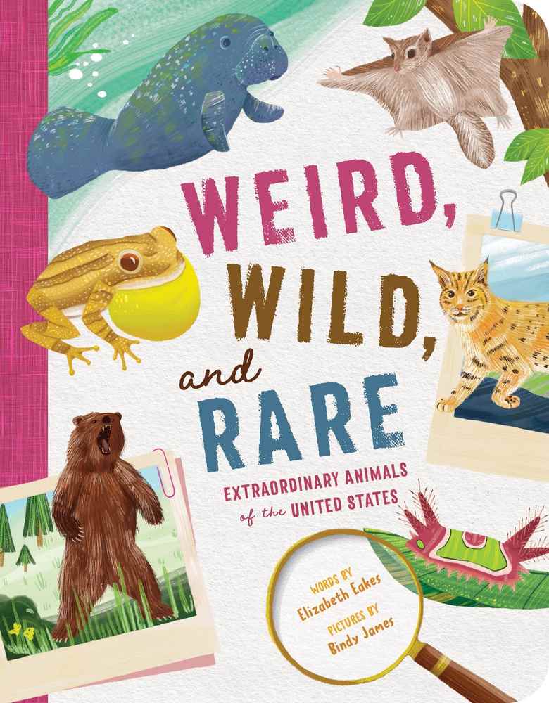 Weird, Wild, and Rare book cover