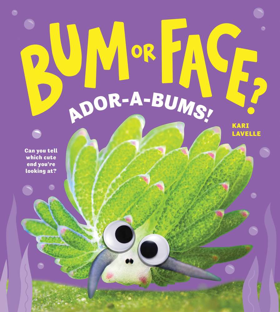 Bum or Face? Volume 4 book cover