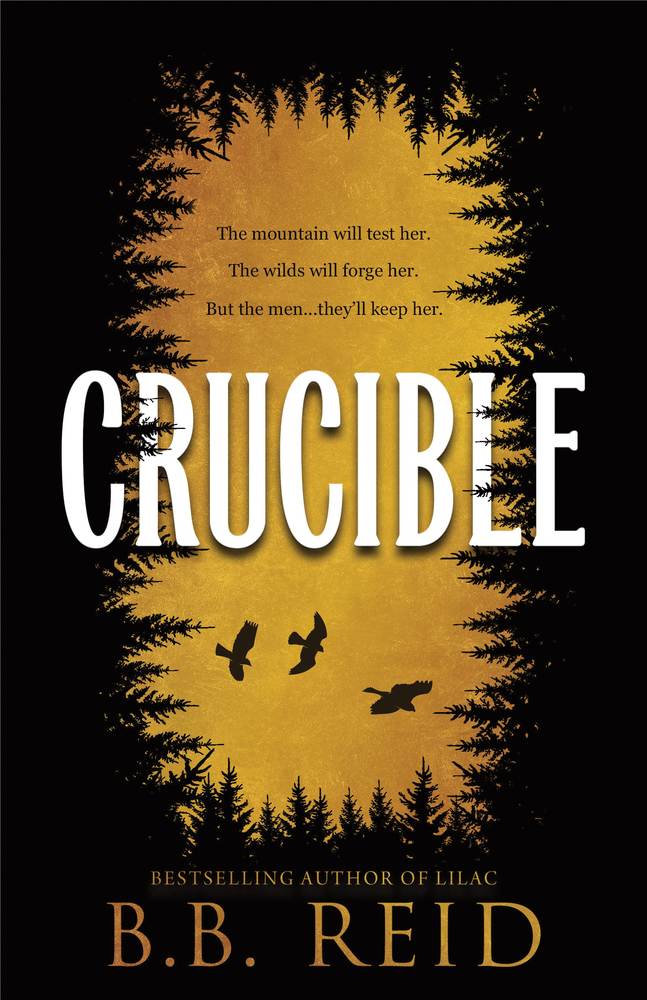 Crucible book cover