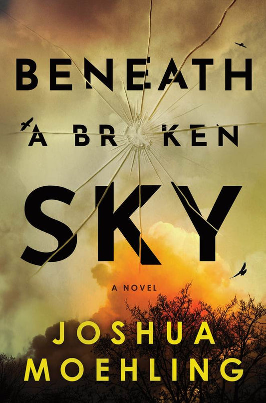 Beneath a Broken Sky book cover