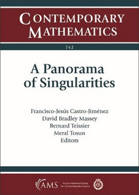 A Panorama of Singularities cover