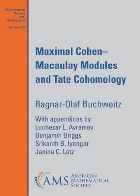 Maximal Cohen-Macaulay Modules and Tate Cohomology cover