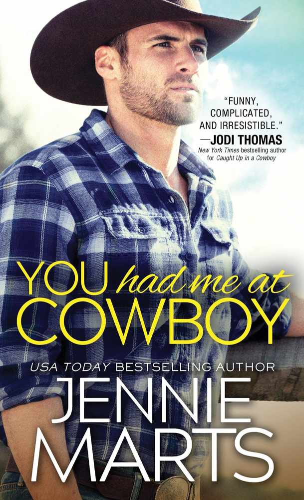You Had Me at Cowboy book cover