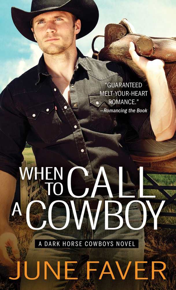 When to Call a Cowboy book cover