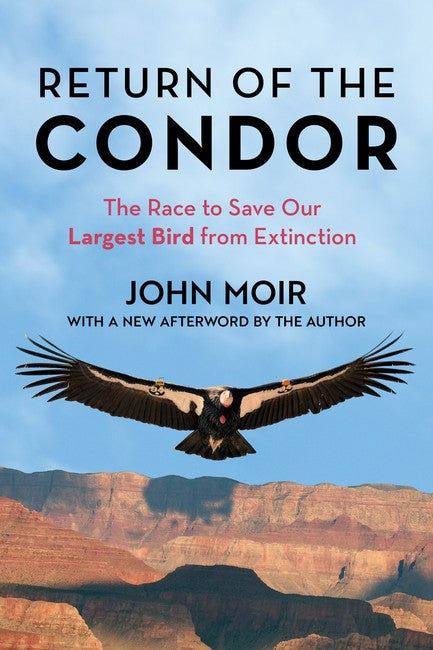Return of the Condor cover