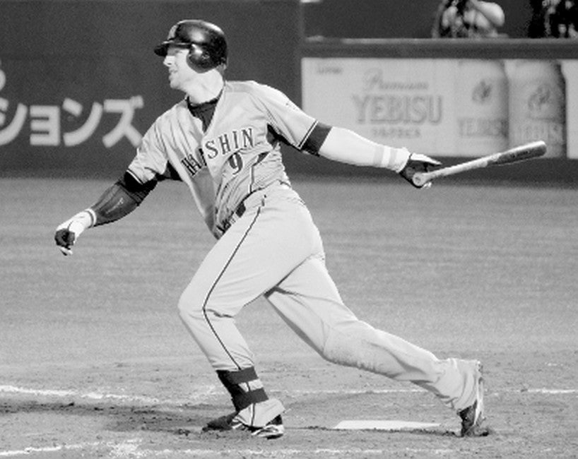 In the Japanese Ballpark cover