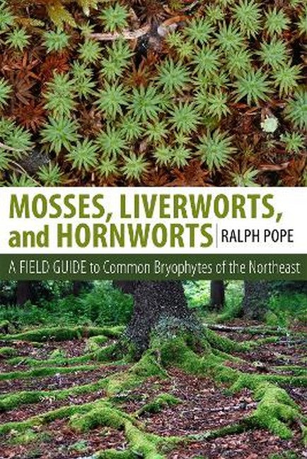 Mosses, Liverworts, and Hornworts cover