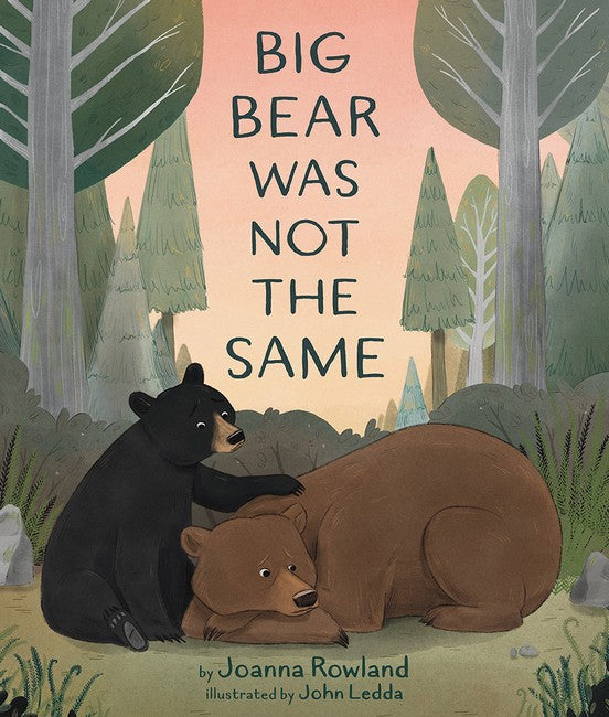 Big Bear Was Not the Same cover