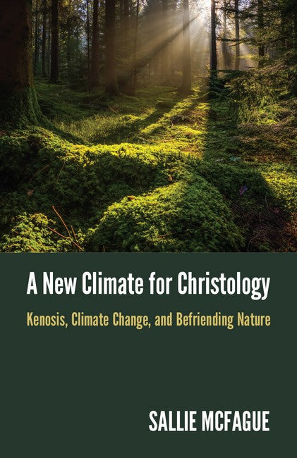 A New Climate for Christology cover