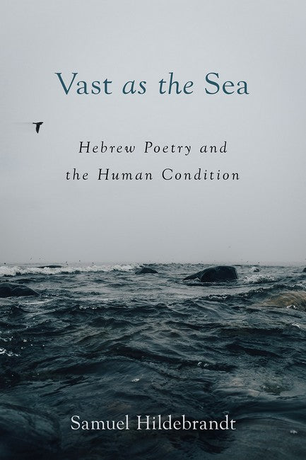 Vast as the Sea cover