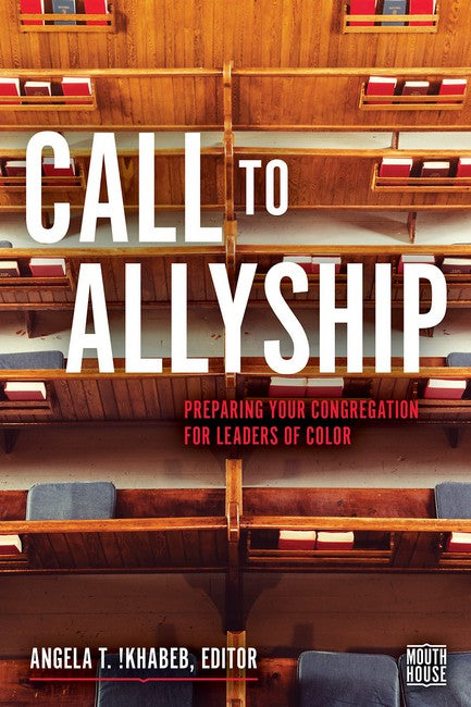 Call to Allyship cover