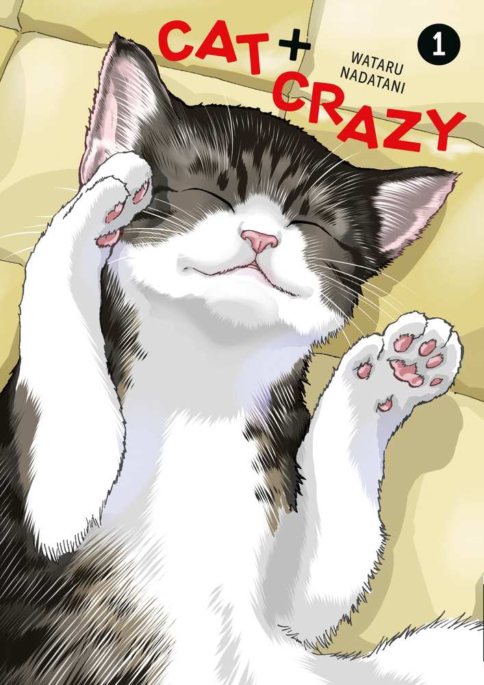 Cat + Crazy Volume 1 book cover