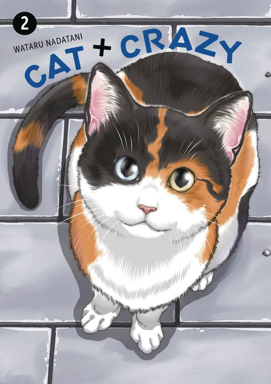 Cat + Crazy Volume 2 book cover