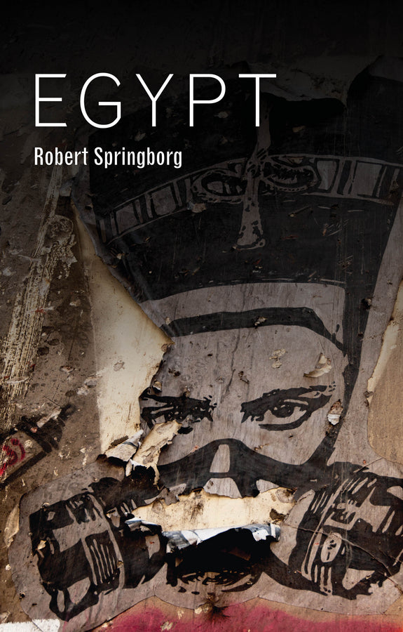 Hot Spots in Global Politics cover