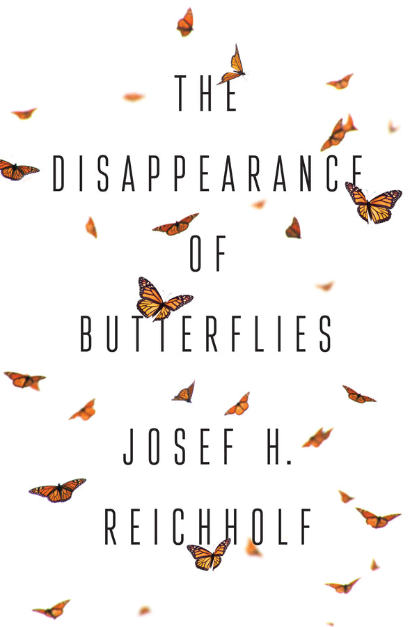 The Disappearance of Butterflies cover
