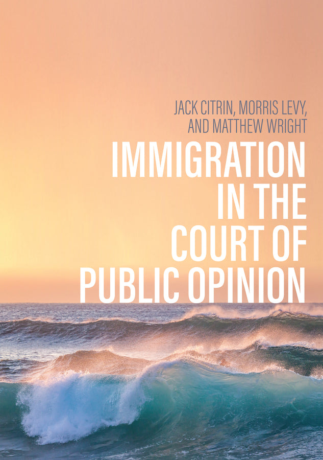 Immigration and Society cover