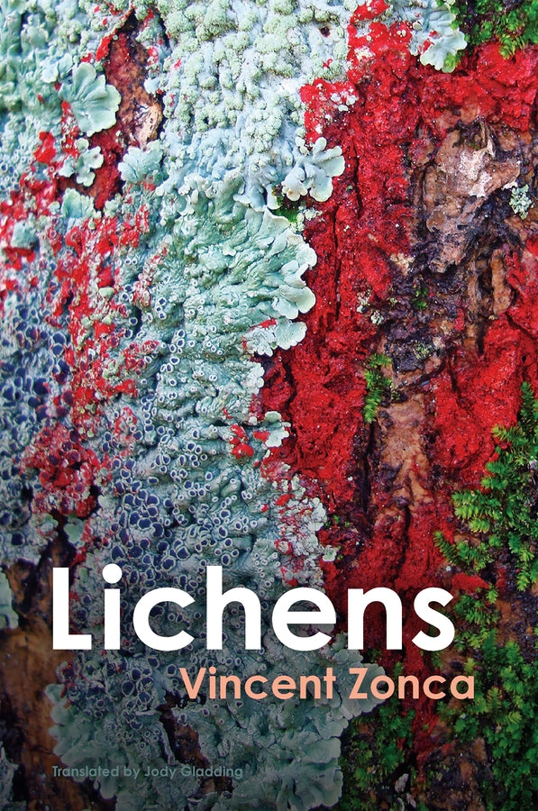 Lichens: Toward a Minimal Resistance cover