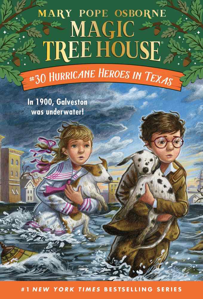 Hurricane Heroes in Texas book cover