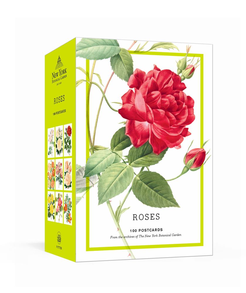 Roses book cover
